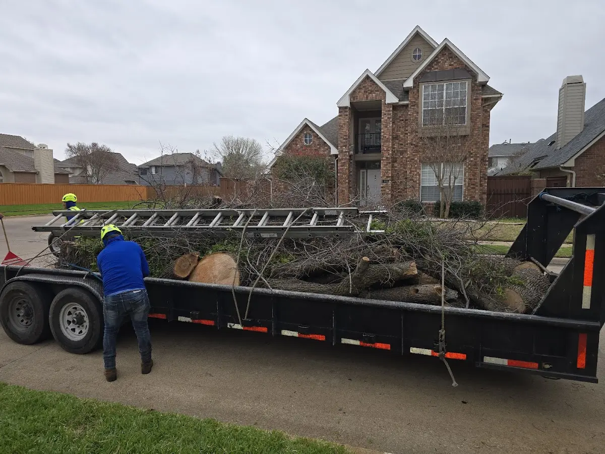 Expert Crown Reduction with proper safety equipment in Beaver Dam